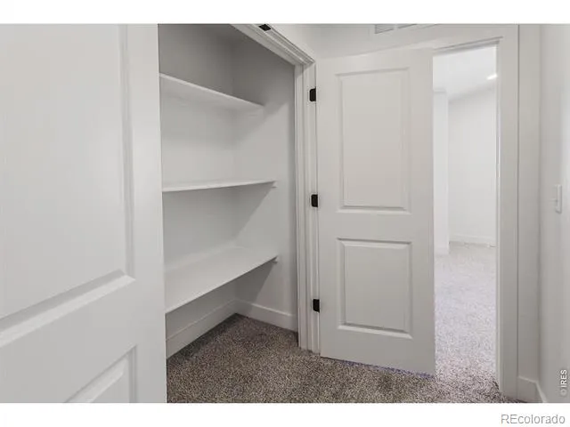 981 Trumpet Lane Windsor, CO 80550