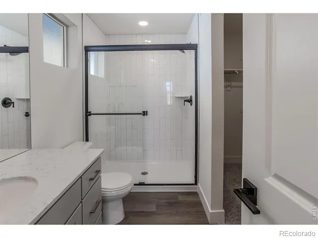 981 Trumpet Lane Windsor, CO 80550