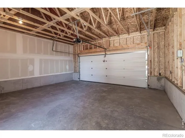 981 Trumpet Lane Windsor, CO 80550
