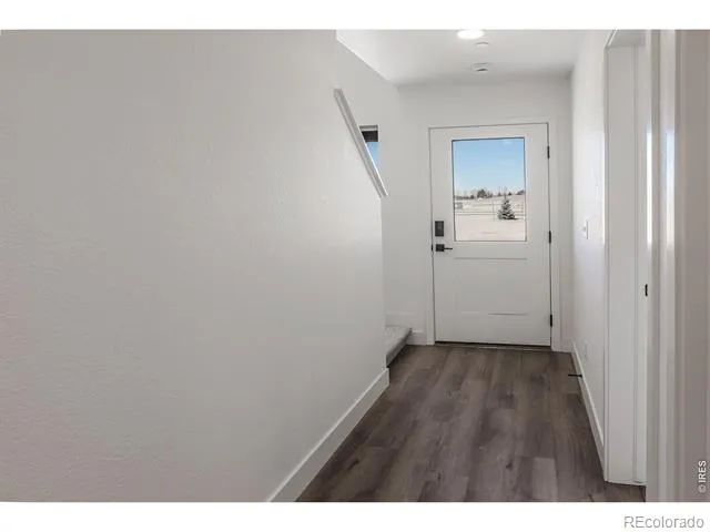 981 Trumpet Lane Windsor, CO 80550