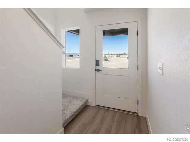 981 Trumpet Lane Windsor, CO 80550