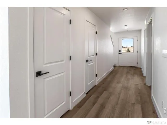 981 Trumpet Lane Windsor, CO 80550