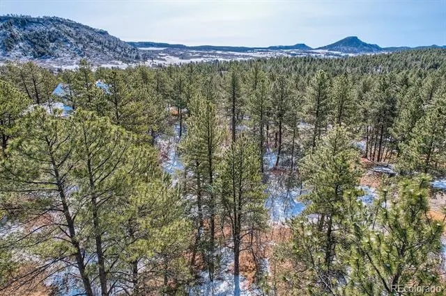 665 Copper Fox Place Larkspur, CO 80118