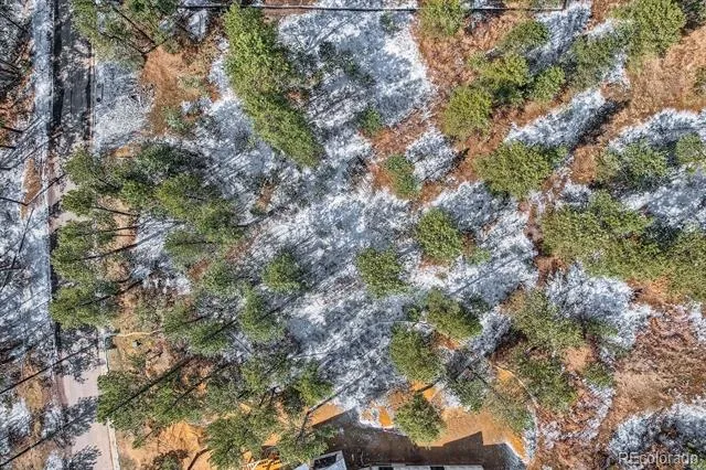 665 Copper Fox Place Larkspur, CO 80118