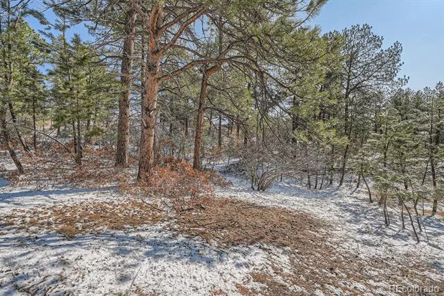 665 Copper Fox Place Larkspur, CO 80118