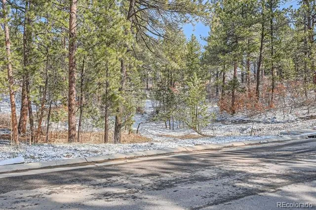 665 Copper Fox Place Larkspur, CO 80118