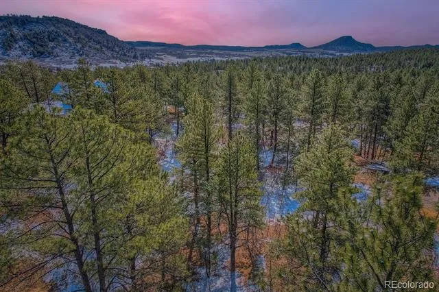 665 Copper Fox Place Larkspur, CO 80118