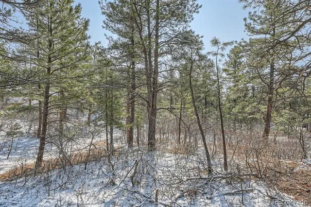 665 Copper Fox Place Larkspur, CO 80118
