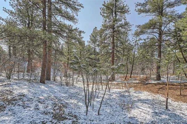 665 Copper Fox Place Larkspur, CO 80118