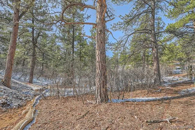 665 Copper Fox Place Larkspur, CO 80118