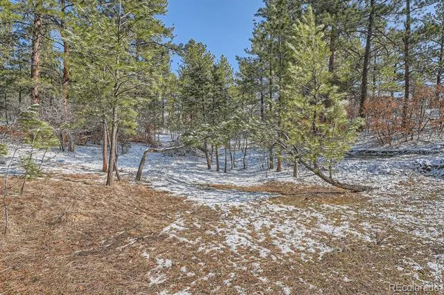 665 Copper Fox Place Larkspur, CO 80118