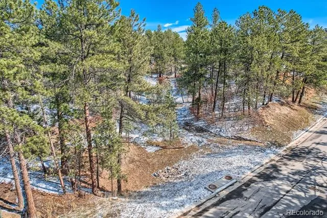 665 Copper Fox Place Larkspur, CO 80118