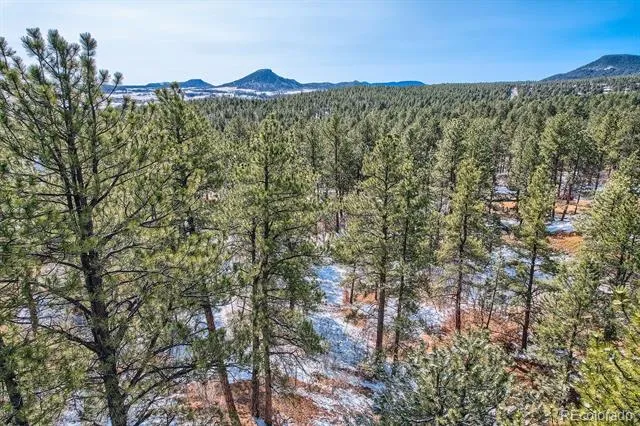 665 Copper Fox Place Larkspur, CO 80118