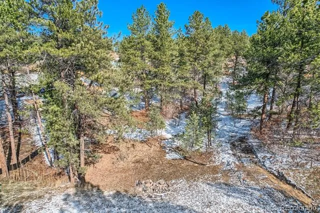 665 Copper Fox Place Larkspur, CO 80118