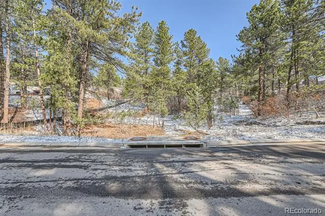 665 Copper Fox Place Larkspur, CO 80118