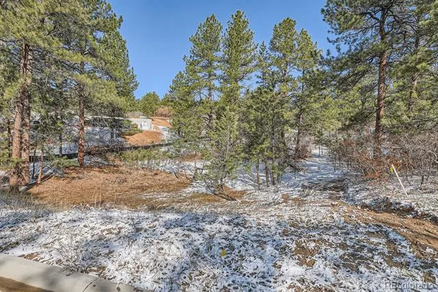 665 Copper Fox Place Larkspur, CO 80118