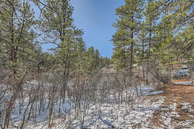 665 Copper Fox Place Larkspur, CO 80118