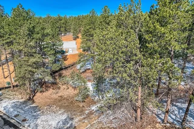 665 Copper Fox Place Larkspur, CO 80118