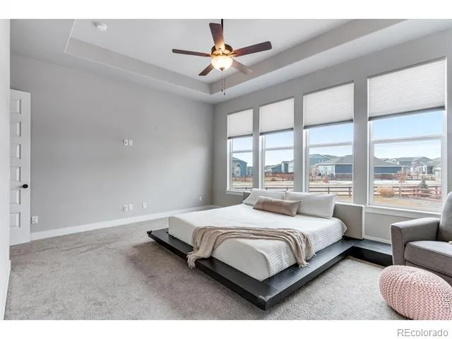 2078 Covered Bridge Parkway Windsor, CO 80550