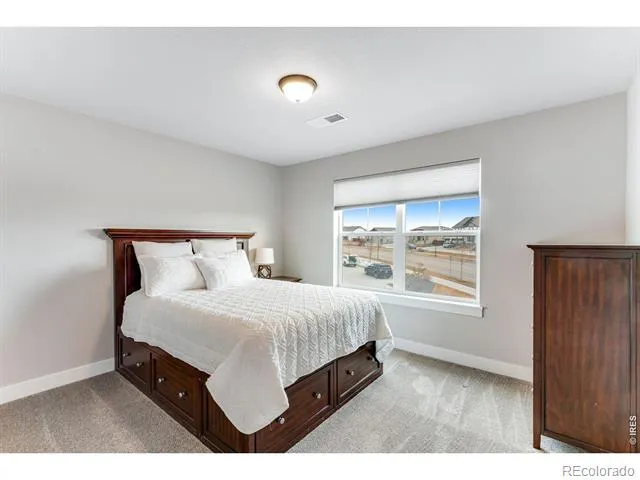 2078 Covered Bridge Parkway Windsor, CO 80550