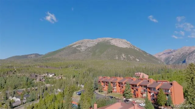 91300 Ryan Gulch Road #91301 Silverthorne, CO 80498