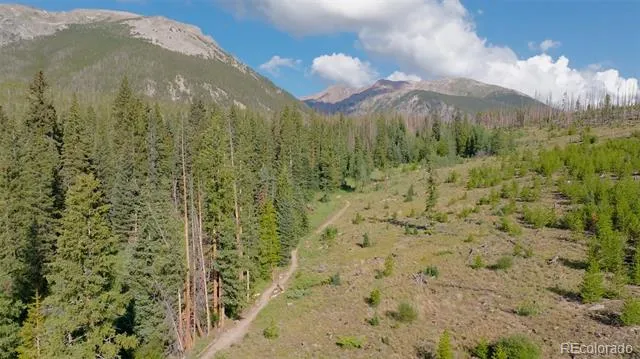 91300 Ryan Gulch Road #91301 Silverthorne, CO 80498