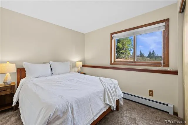 91300 Ryan Gulch Road #91301 Silverthorne, CO 80498