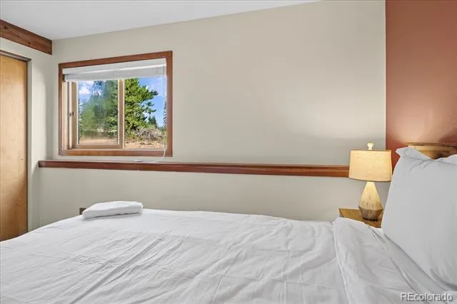 91300 Ryan Gulch Road #91301 Silverthorne, CO 80498