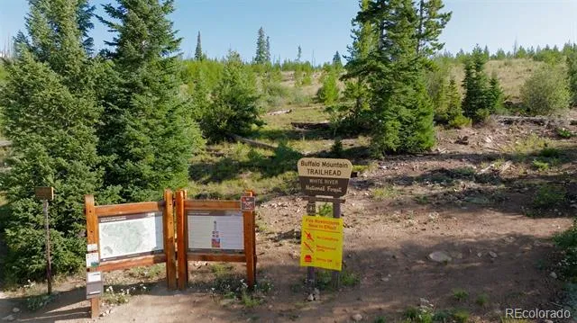 91300 Ryan Gulch Road #91301 Silverthorne, CO 80498