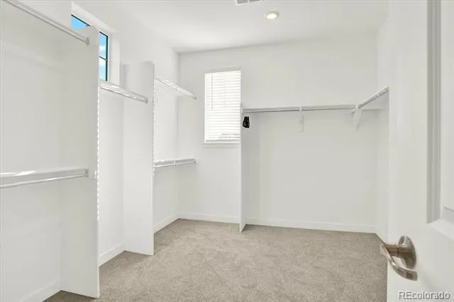 583 Winterfield Street Erie, CO 80516