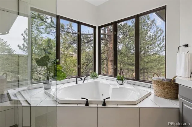 163 Glengarry Place Castle Rock, CO 80108