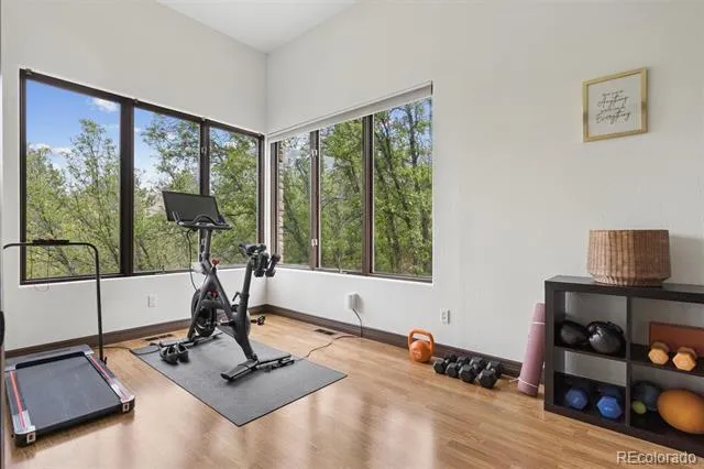 163 Glengarry Place Castle Rock, CO 80108