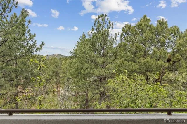 163 Glengarry Place Castle Rock, CO 80108