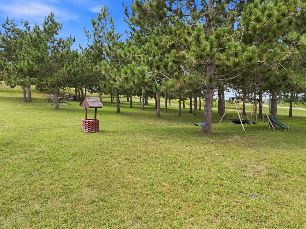 2020 Lakeview Lane Alanson, MI 49706