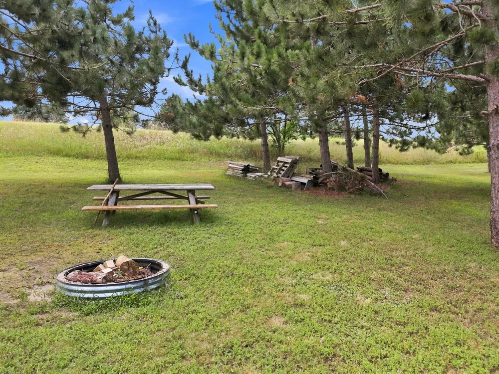 2020 Lakeview Lane Alanson, MI 49706