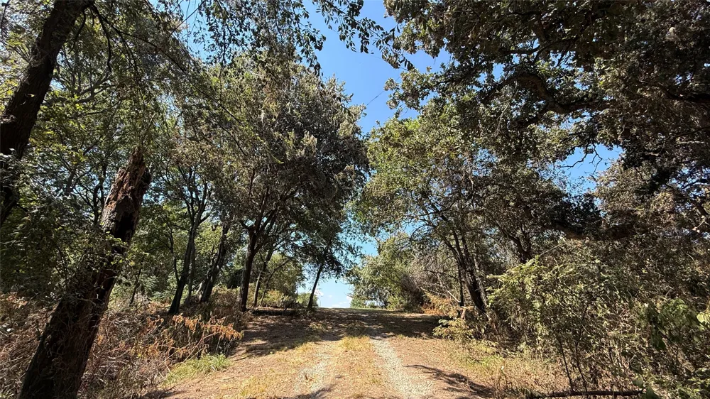 CR 2170 Corsicana, TX 75109