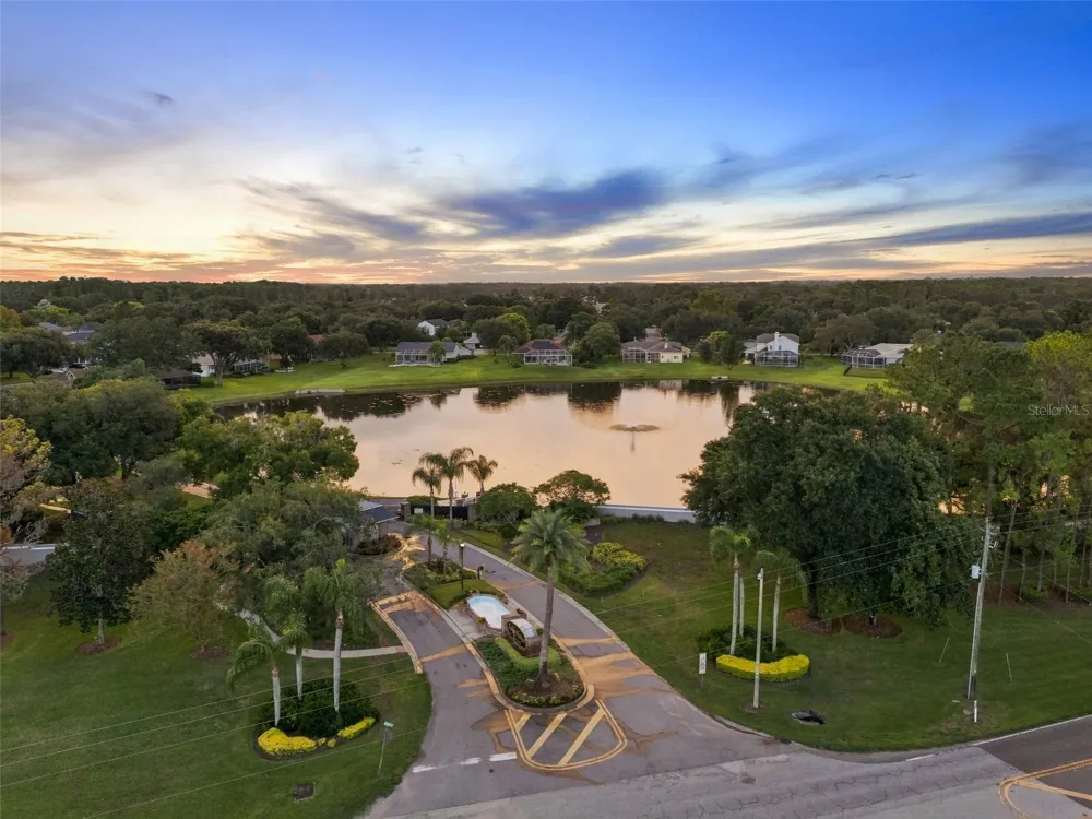 13750 DOWLING LANE Odessa, FL 33556