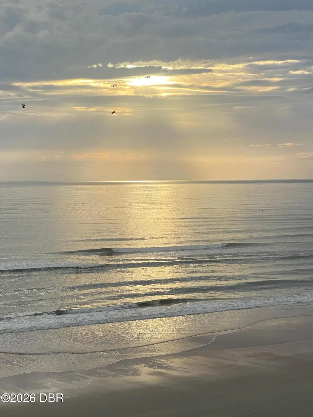 2828 Atlantic Avenue #1604 Daytona Beach, FL 32118
