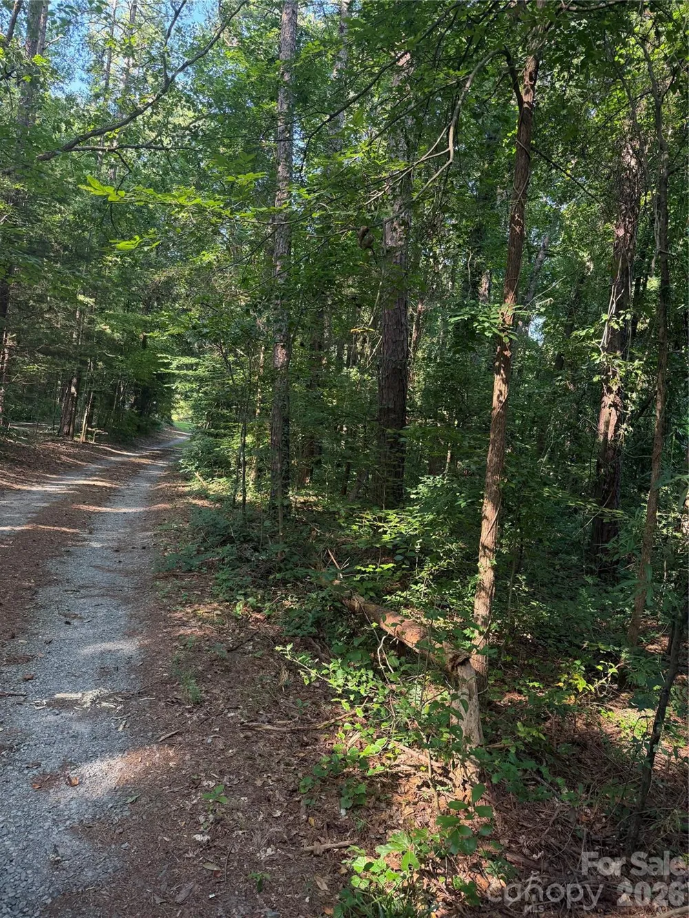 202 Horseshoe Lake Road Mount Holly, NC 28120