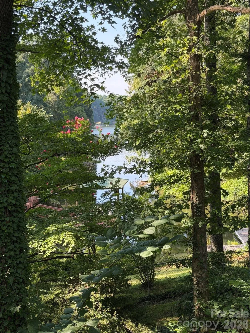 202 Horseshoe Lake Road Mount Holly, NC 28120