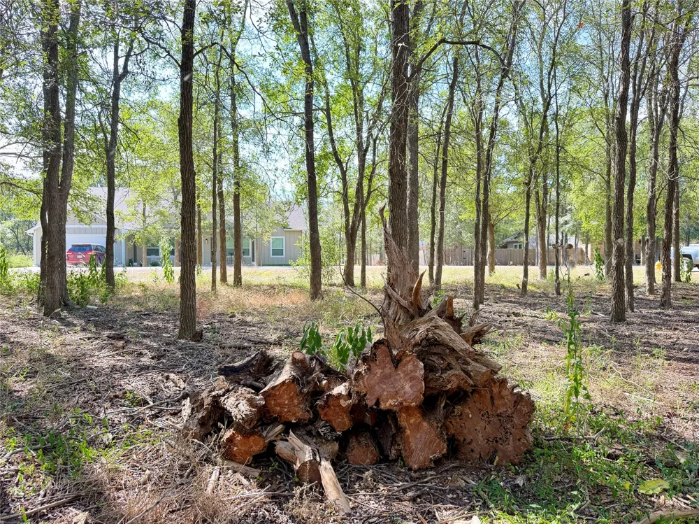 208 Waipahoehoe Drive Bastrop, TX 78602