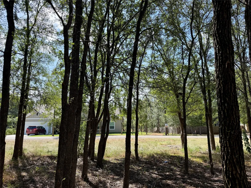 208 Waipahoehoe Drive Bastrop, TX 78602