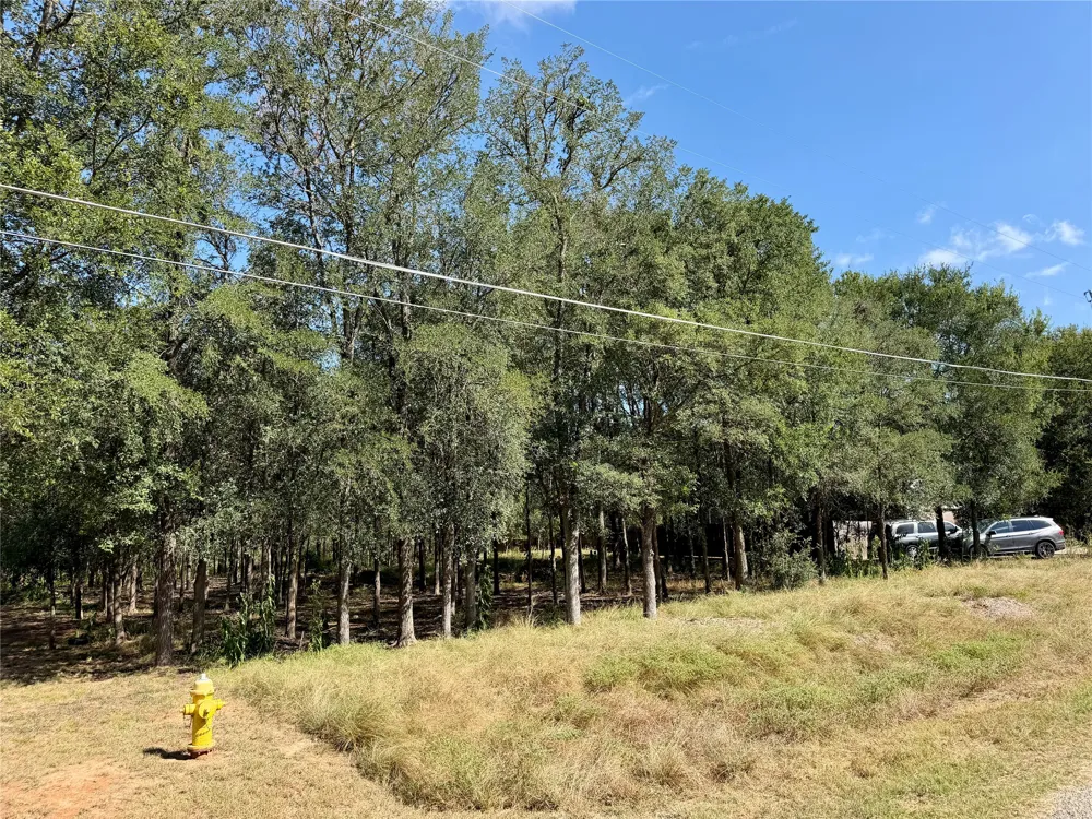 208 Waipahoehoe Drive Bastrop, TX 78602