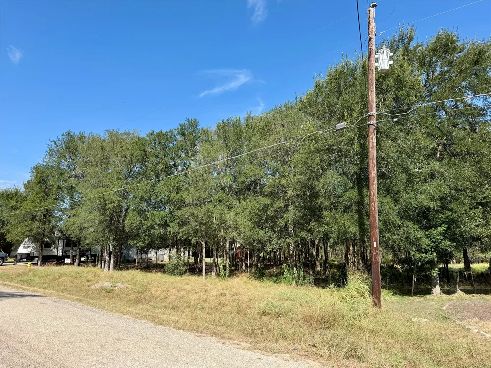 208 Waipahoehoe Drive Bastrop, TX 78602