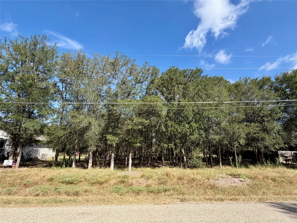 208 Waipahoehoe Drive Bastrop, TX 78602