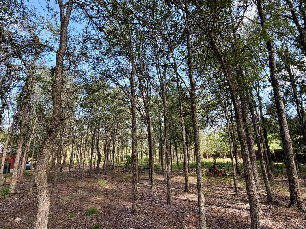 208 Waipahoehoe Drive Bastrop, TX 78602
