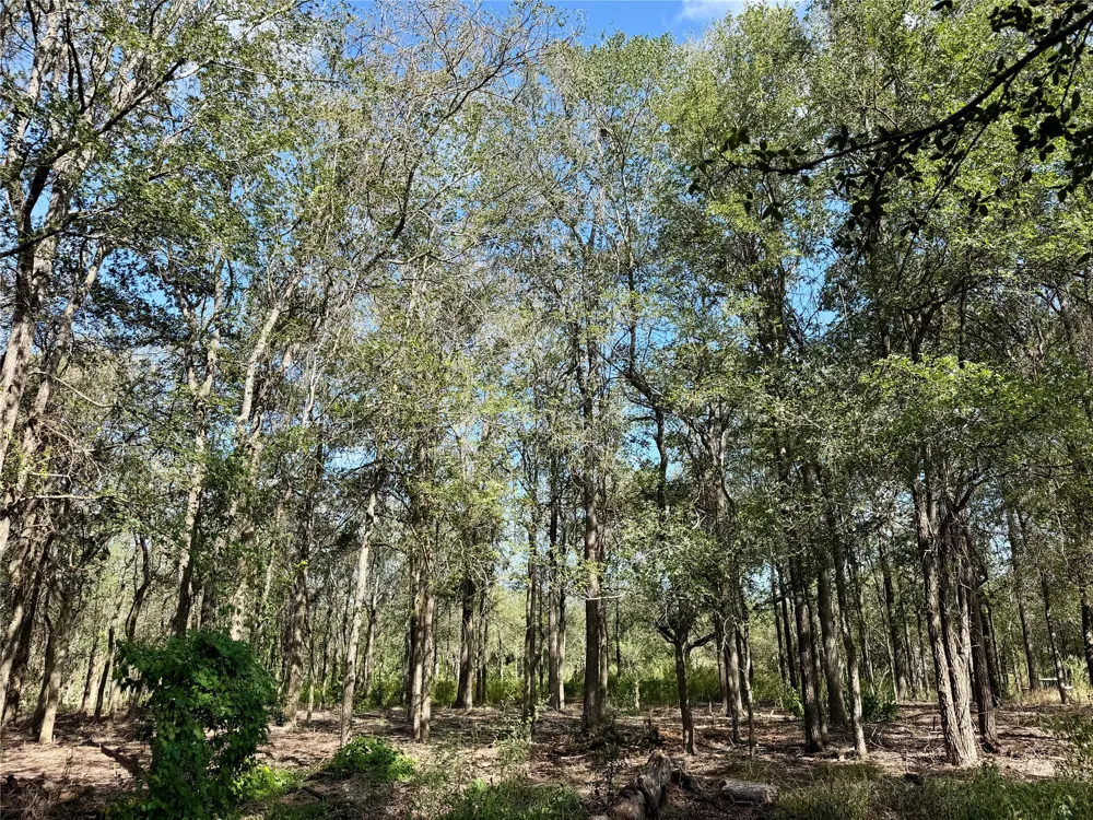 208 Waipahoehoe Drive Bastrop, TX 78602