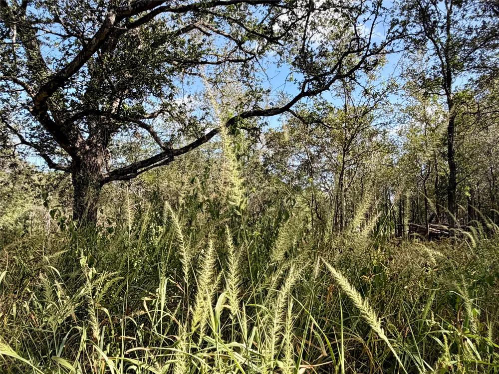 208 Waipahoehoe Drive Bastrop, TX 78602