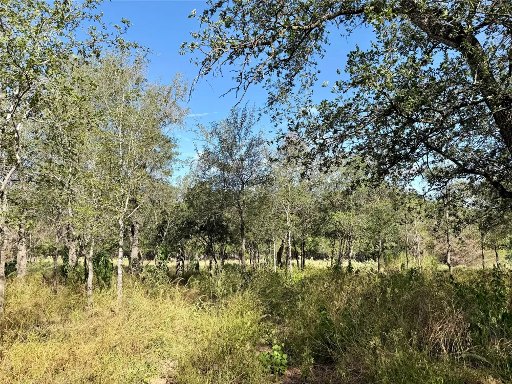 208 Waipahoehoe Drive Bastrop, TX 78602
