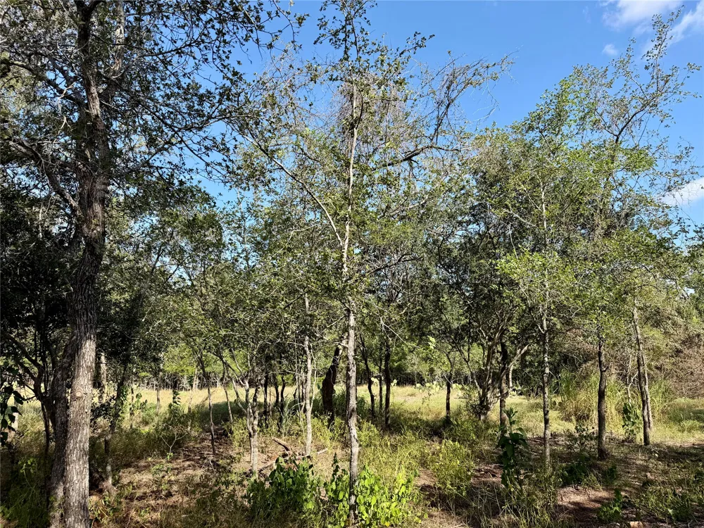 208 Waipahoehoe Drive Bastrop, TX 78602